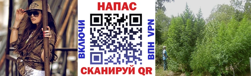 Наркошоп Суджа KRAKEN tor A-PVP Конопля КОКАИН
