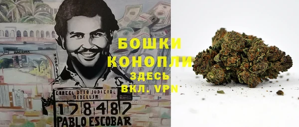 бошки Краснослободск